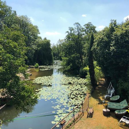 Magnifique Moulin Proche Chablis, Jacuzzi Et Riviere Villa Annay-sur-Serein Exteriör bild