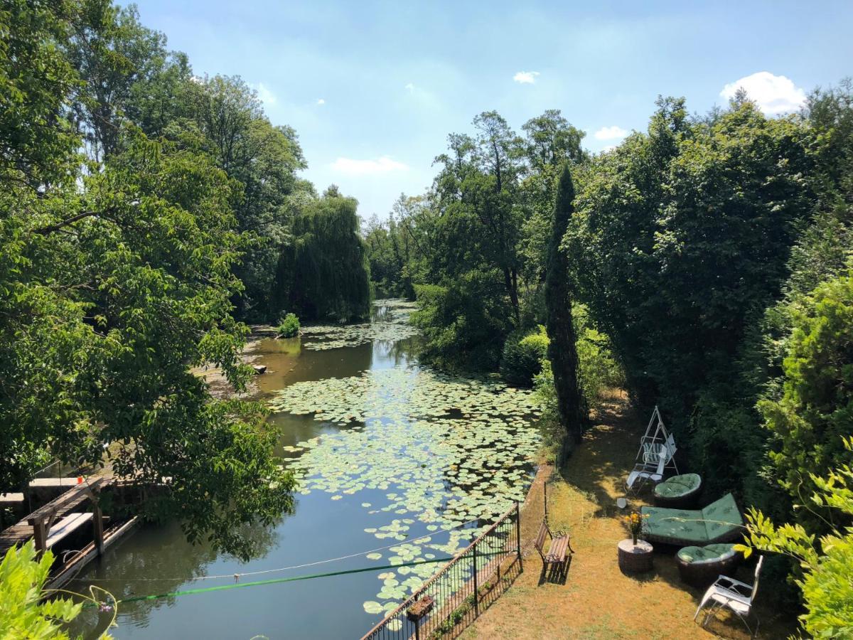 Magnifique Moulin Proche Chablis, Jacuzzi Et Riviere Villa Annay-sur-Serein Exteriör bild