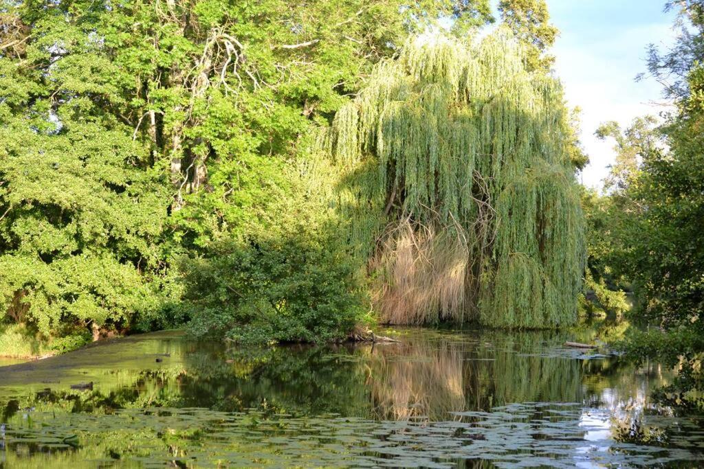 Magnifique Moulin Proche Chablis, Jacuzzi Et Riviere Villa Annay-sur-Serein Exteriör bild