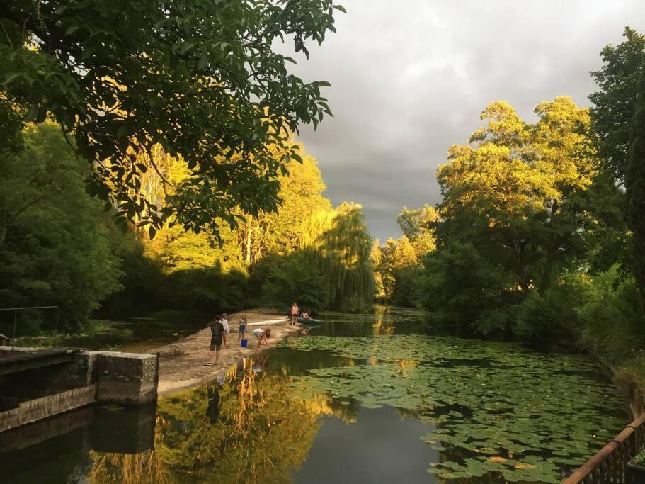 Magnifique Moulin Proche Chablis, Jacuzzi Et Riviere Villa Annay-sur-Serein Exteriör bild