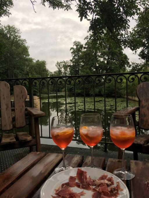 Magnifique Moulin Proche Chablis, Jacuzzi Et Riviere Villa Annay-sur-Serein Exteriör bild