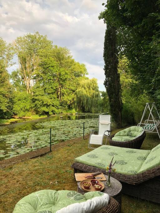 Magnifique Moulin Proche Chablis, Jacuzzi Et Riviere Villa Annay-sur-Serein Exteriör bild