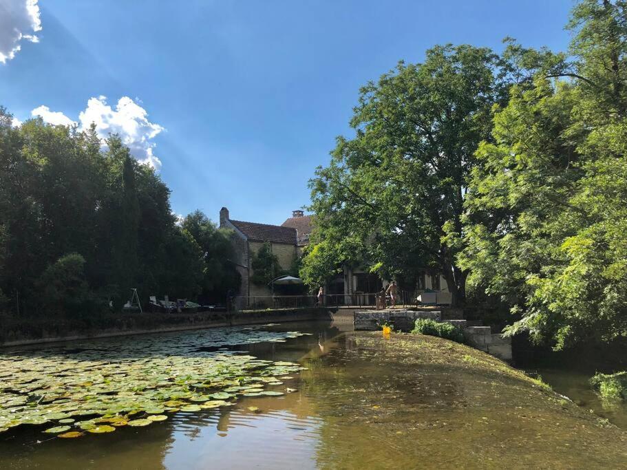 Magnifique Moulin Proche Chablis, Jacuzzi Et Riviere Villa Annay-sur-Serein Exteriör bild
