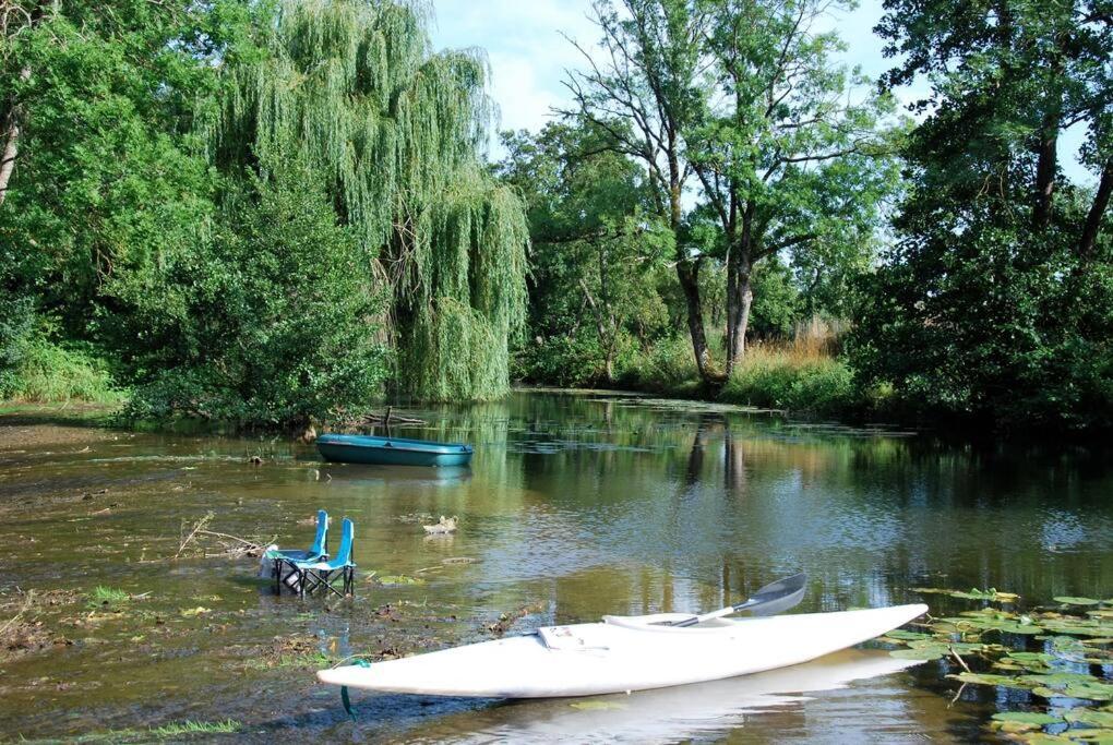 Magnifique Moulin Proche Chablis, Jacuzzi Et Riviere Villa Annay-sur-Serein Exteriör bild