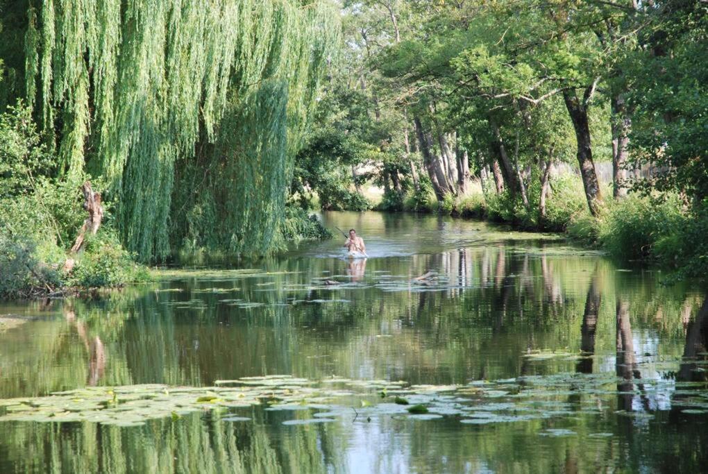 Magnifique Moulin Proche Chablis, Jacuzzi Et Riviere Villa Annay-sur-Serein Exteriör bild