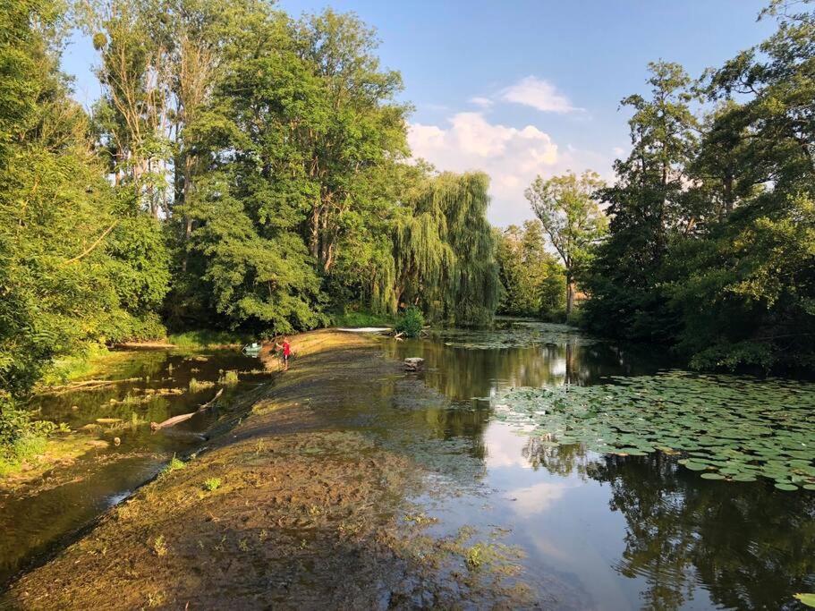 Magnifique Moulin Proche Chablis, Jacuzzi Et Riviere Villa Annay-sur-Serein Exteriör bild