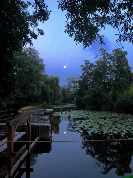 Magnifique Moulin Proche Chablis, Jacuzzi Et Riviere Villa Annay-sur-Serein Exteriör bild
