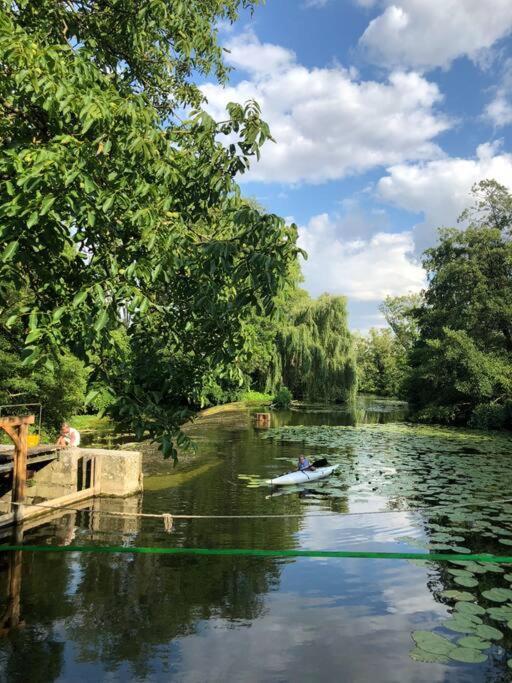 Magnifique Moulin Proche Chablis, Jacuzzi Et Riviere Villa Annay-sur-Serein Exteriör bild