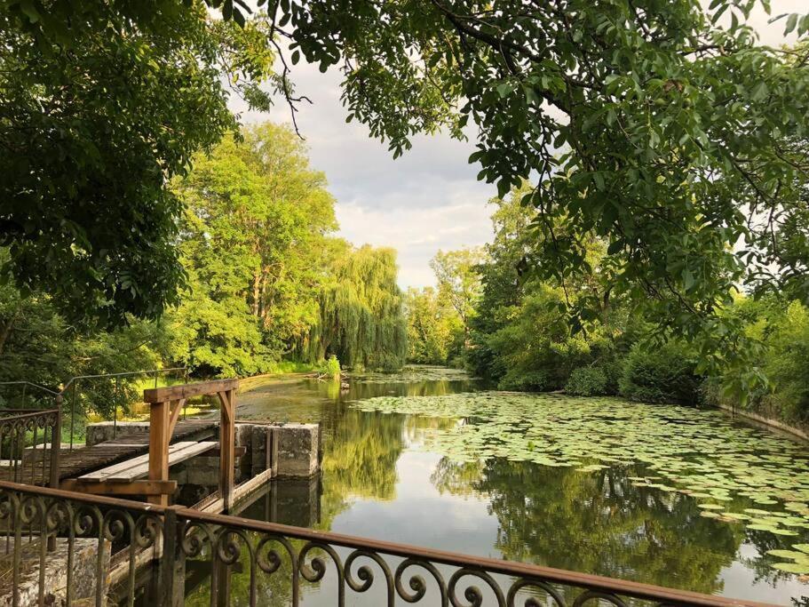 Magnifique Moulin Proche Chablis, Jacuzzi Et Riviere Villa Annay-sur-Serein Exteriör bild